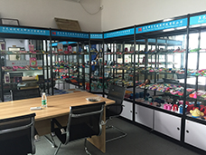 Silicone Showroom