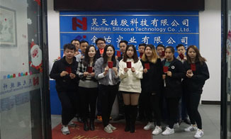 Finish holiday, recover silicone production