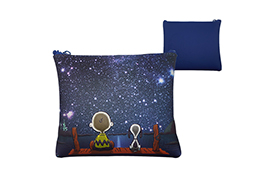 Design Promotional  Cartoon Coin Purse